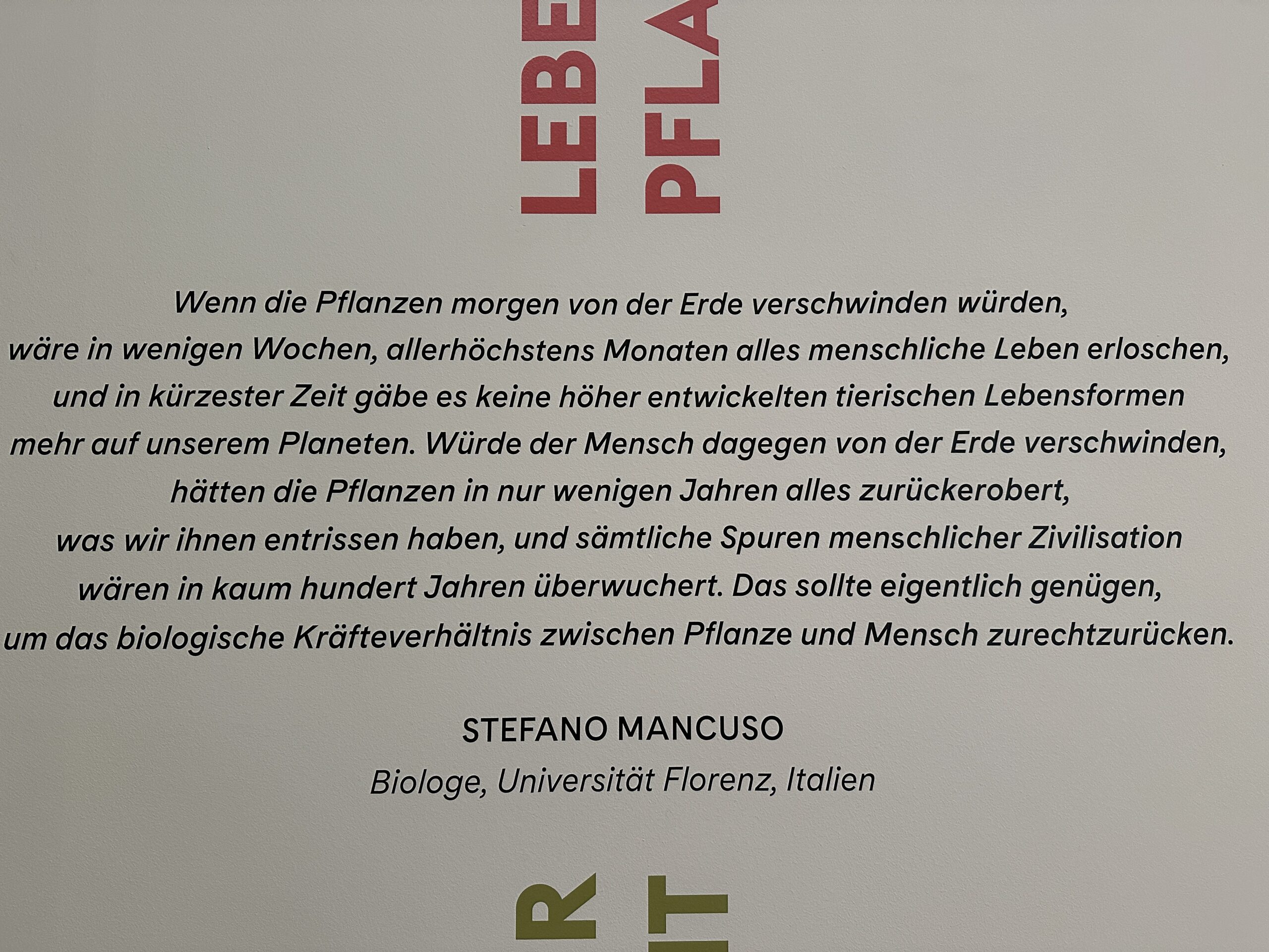 IMG_8709 Ein besonderes Highlight waren die Zitate von Stefano Mancuso, die am Beginn der Ausstellung zu lesen waren. Mancuso, ein führender Pflanzenforscher, betont die Intelligenz und Kommunikationsfähigkeiten von Pflanzen. Seine Bücher haben mich dazu angeregt, die Natur mit neuen Augen zu sehen und die verborgenen Wunder der Pflanzenwelt zu schätzen.