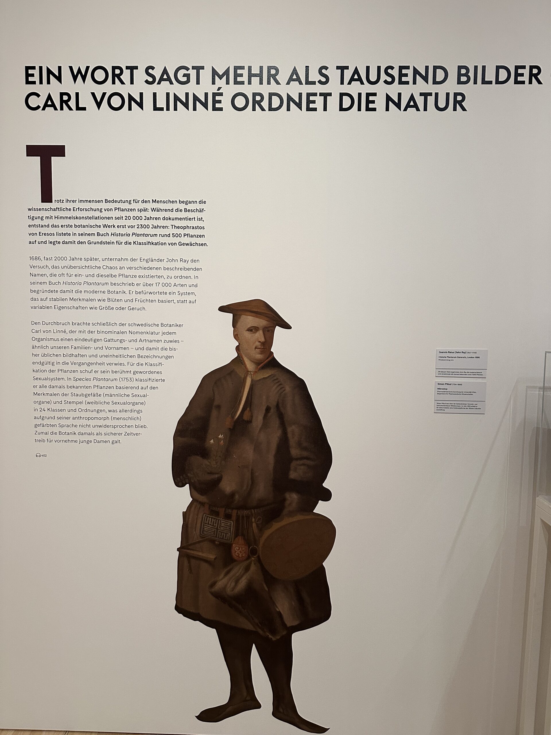 IMG_8711 Carl von Linné (1707-1778), auch bekannt als Carolus Linnaeus, war ein schwedischer Naturforscher und Arzt. Er ist berühmt für die Entwicklung der modernen biologischen Taxonomie und die Einführung der binären Nomenklatur, die bis heute verwendet wird, um Pflanzen und Tiere zu klassifizieren.