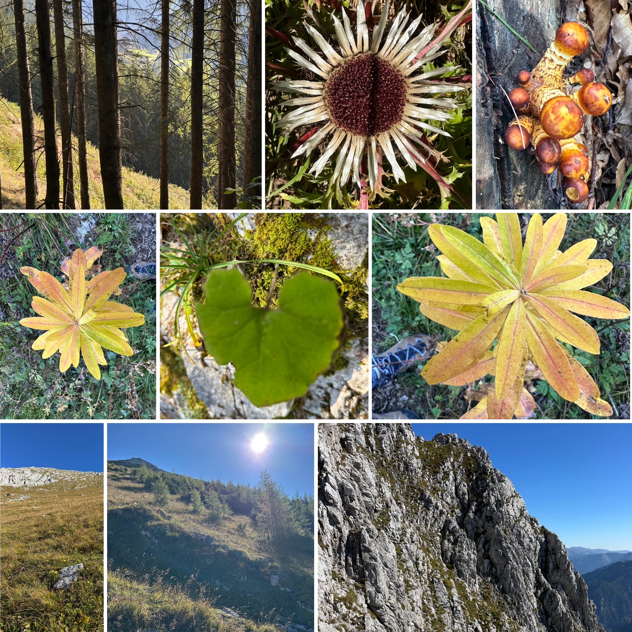 Spaziergänge & Naturerlebnisse