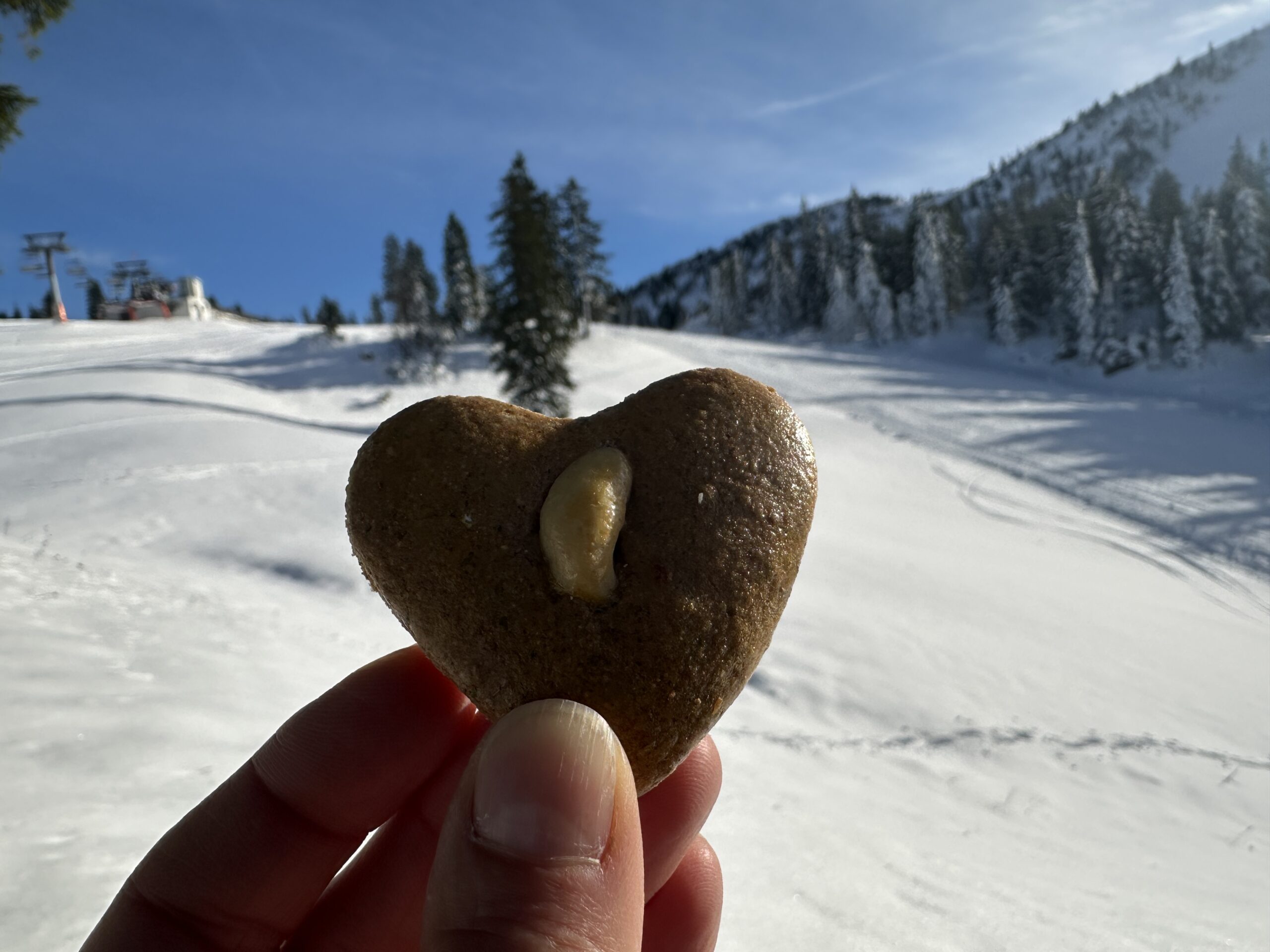 Lebkuchen mit der grünen Power und seine Spuren in den Schnee ziehen ... Herz, was willst du mehr ?